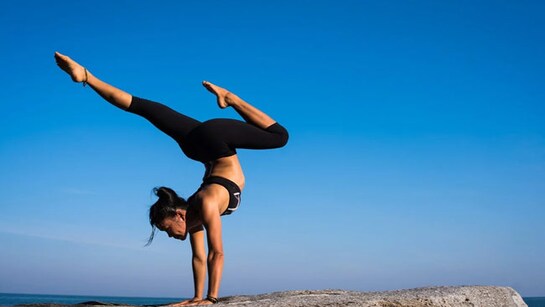 Fitness and wellness